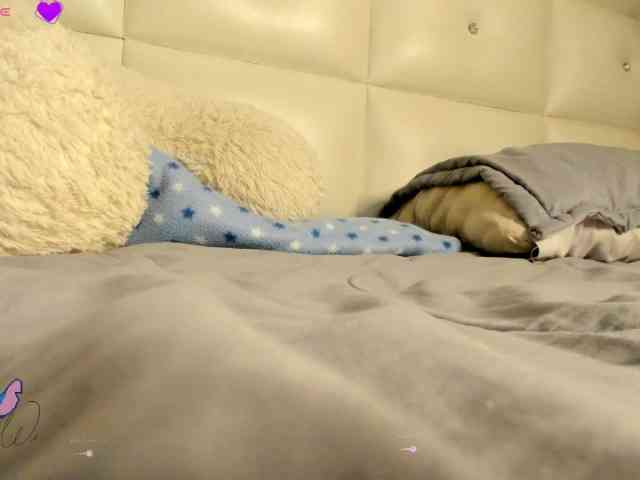 Lexxiiross webcam