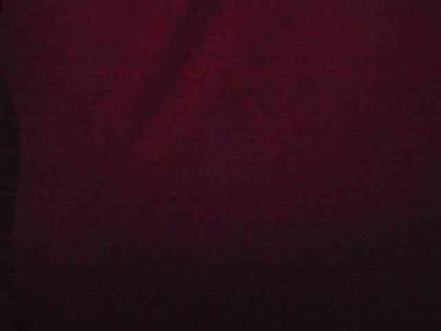 Lexxiiross webcam