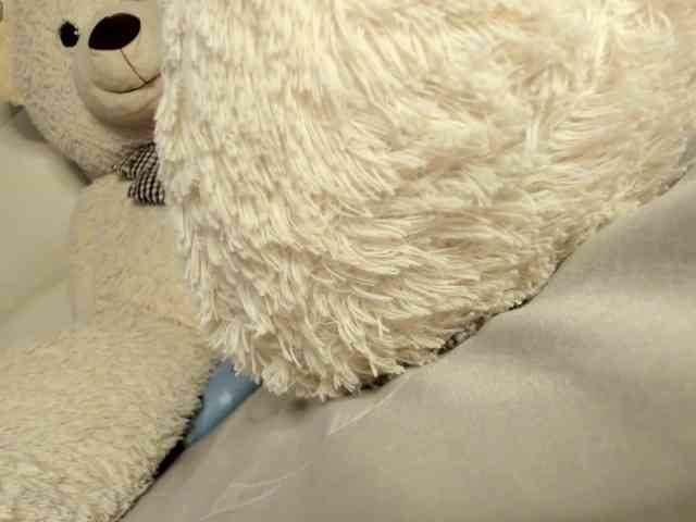 Lexxiiross webcam