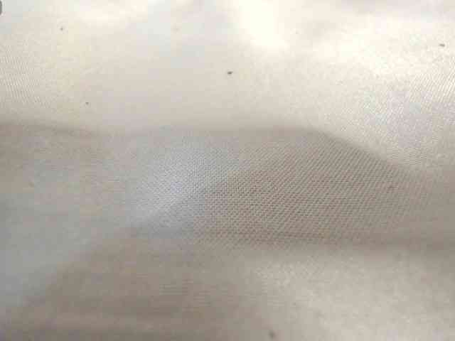 Lexxiiross webcam