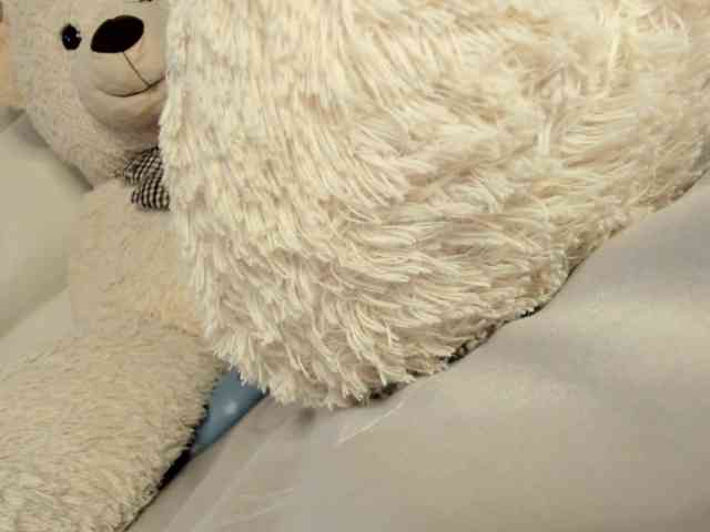 Lexxiiross webcam