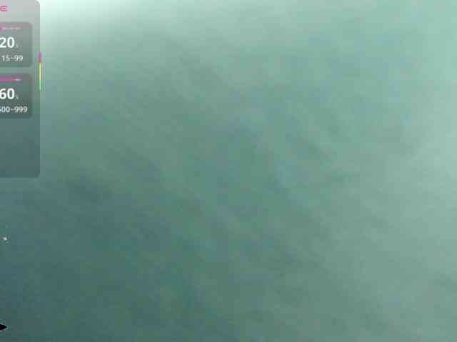 Lexxiiross webcam
