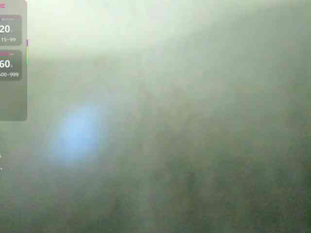 Lexxiiross webcam