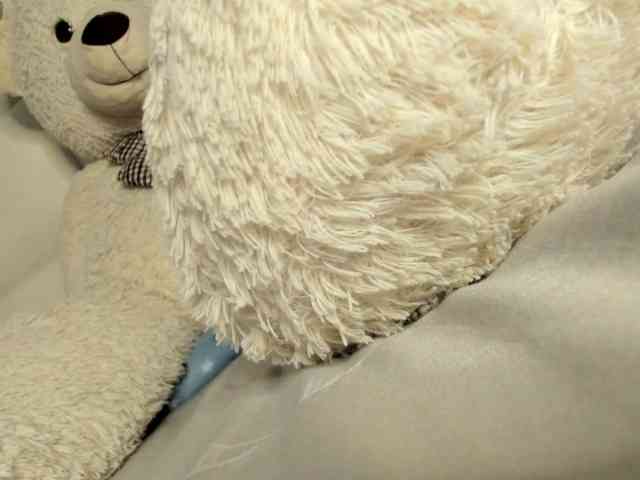 Lexxiiross webcam
