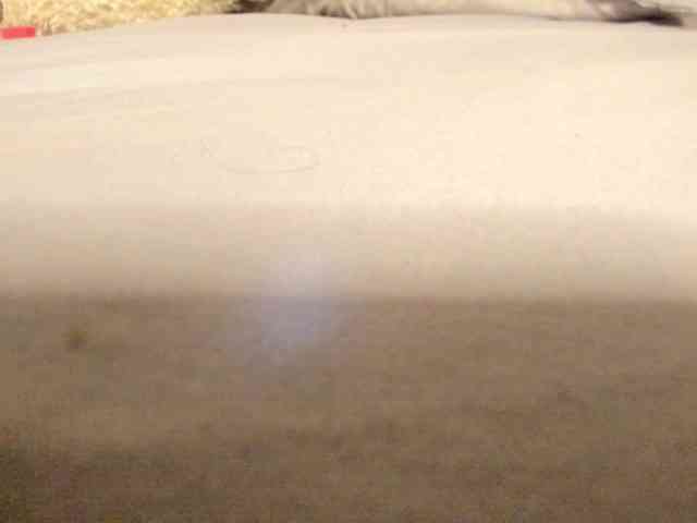 Lexxiiross webcam