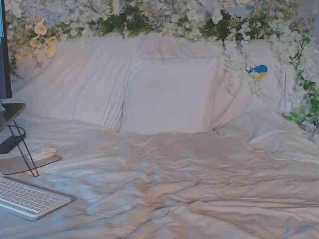 ViteR_ webcam