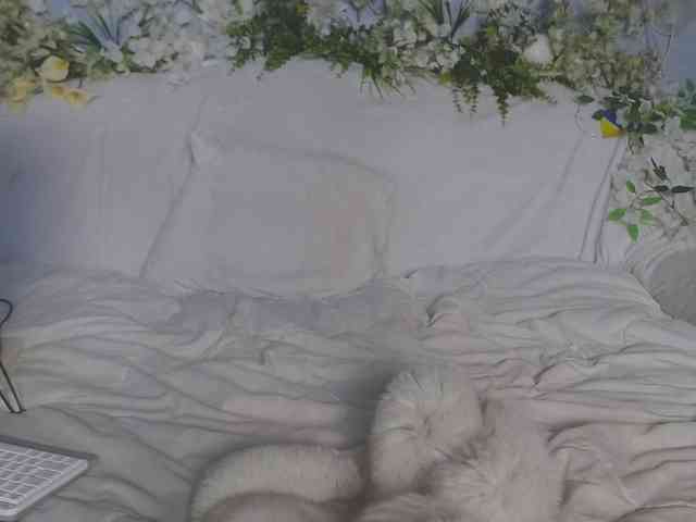 ViteR_ webcam