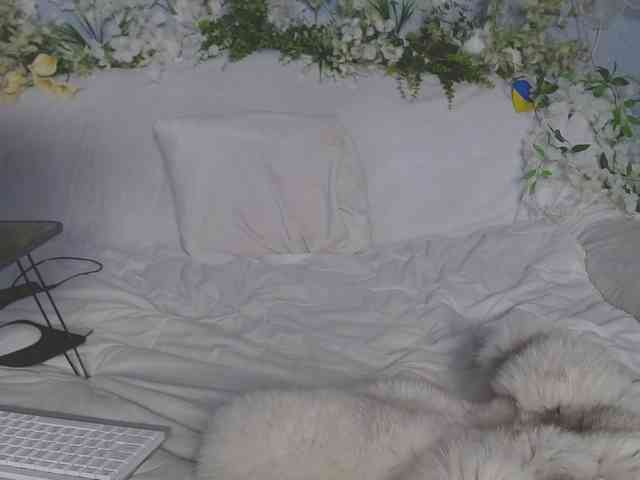 ViteR_ webcam