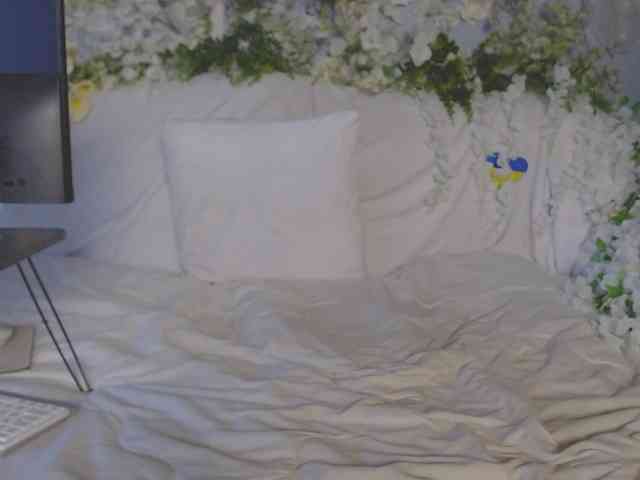 ViteR_ webcam