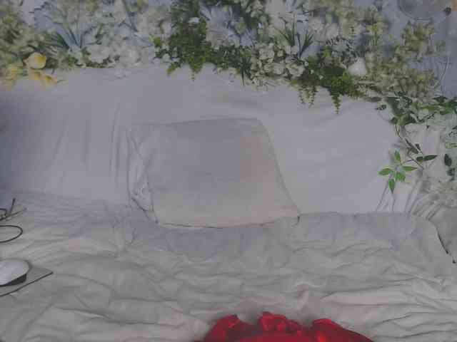 ViteR_ webcam