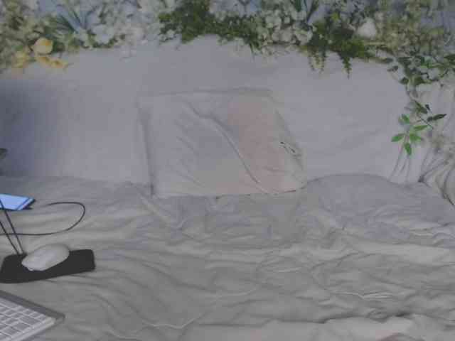 ViteR_ webcam