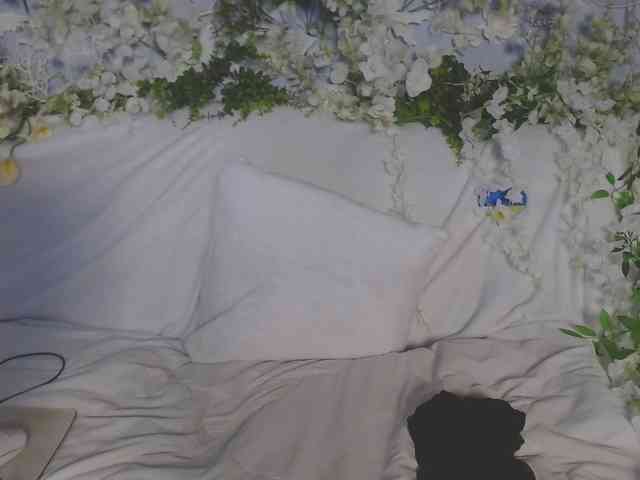 ViteR_ webcam