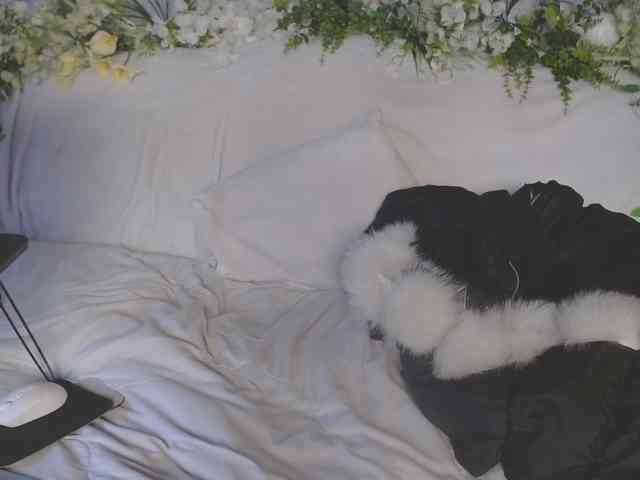 ViteR_ webcam