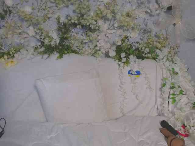 ViteR_ webcam
