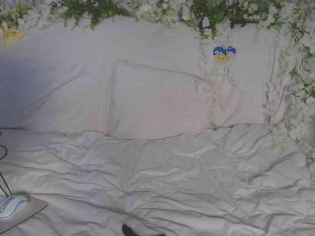 ViteR_ webcam