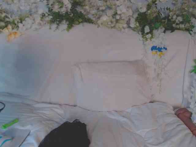 ViteR_ webcam
