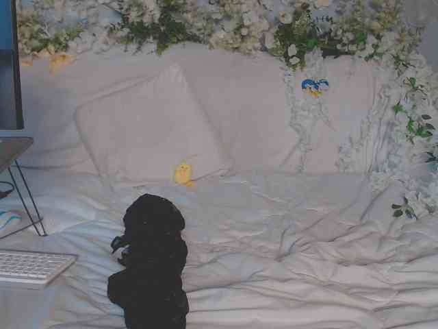 ViteR_ webcam