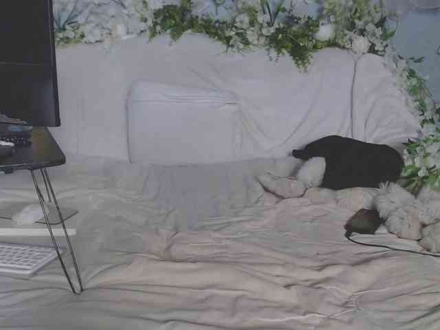 olhanodeta1ls olhanodeta1ls