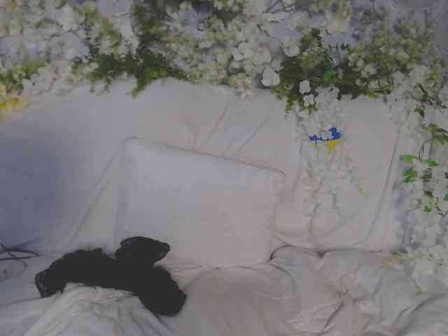ViteR_ webcam
