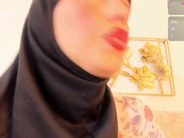 kalaa- webcam