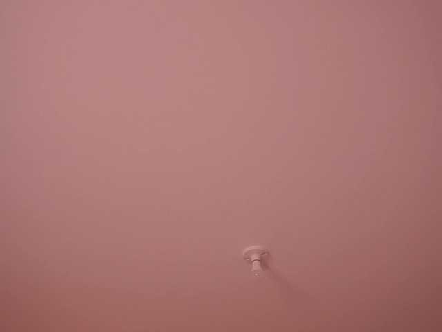 bella-adams's BongaCams show and profile