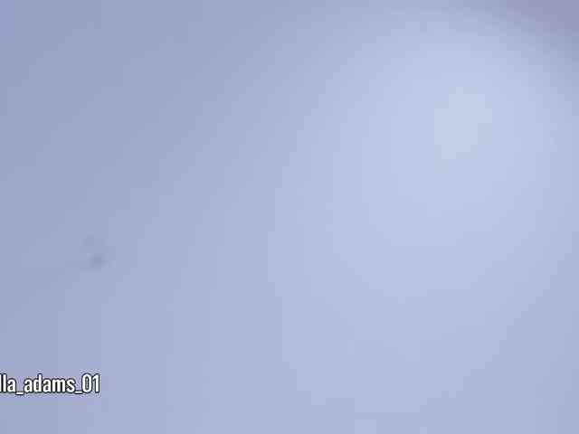 bella-adams bella-adams