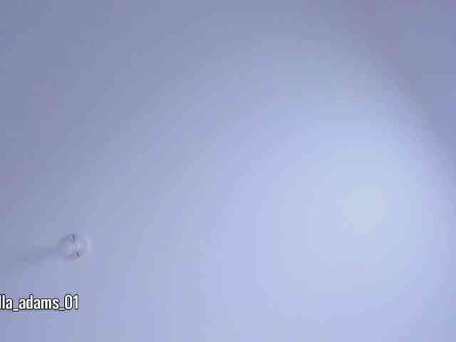 bella-adams webcam