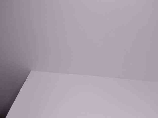 bella-adams webcam