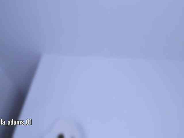 bella-adams webcam