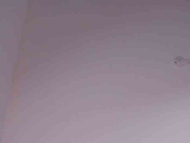 bella-adams webcam