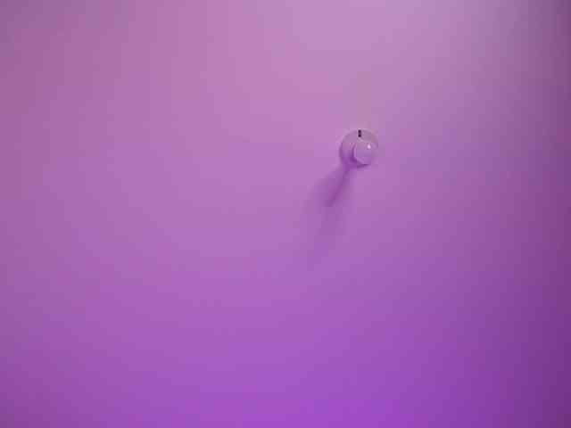 bella-adams bella-adams