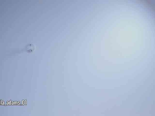 bella-adams webcam