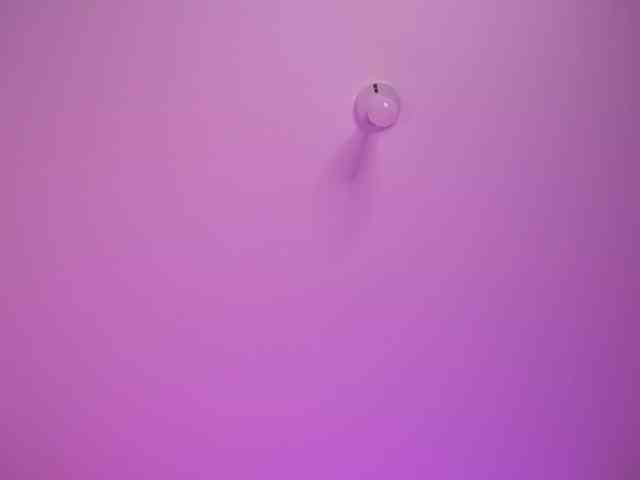 bella-adams bella-adams