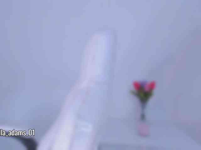 bella-adams webcam