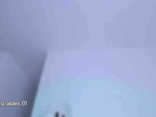 bella-adams webcam