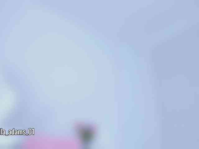 bella-adams bella-adams