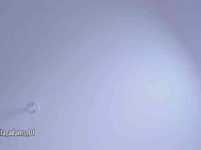 bella-adams webcam