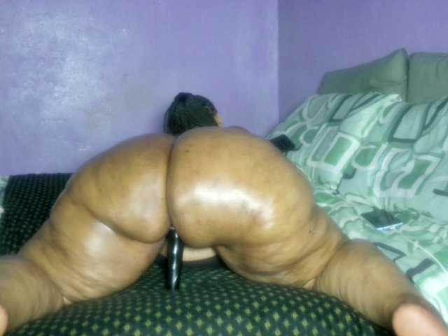 Big-Ass-Wilma's BongaCams show and profile