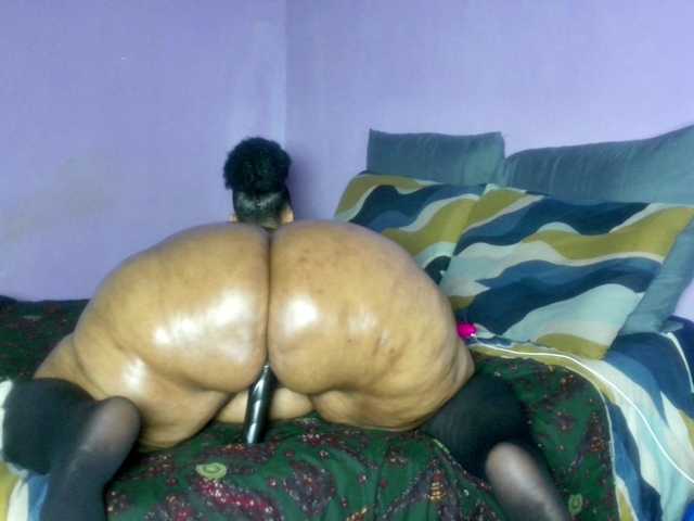 Big-Ass-Wilma webcam