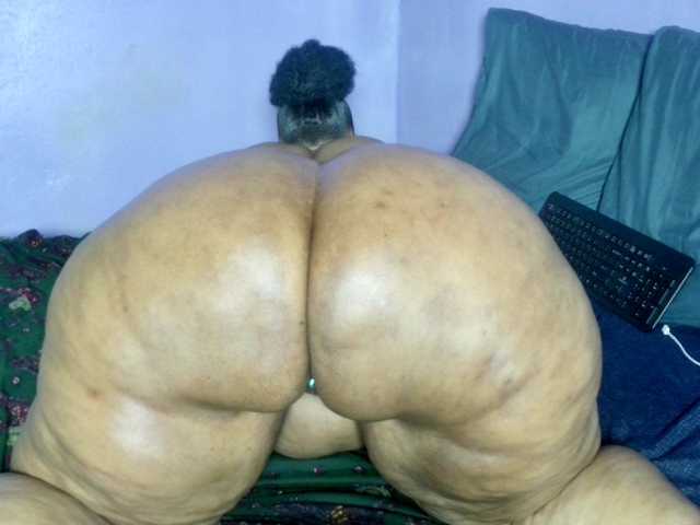 Big-Ass-Wilma's BongaCams show and profile