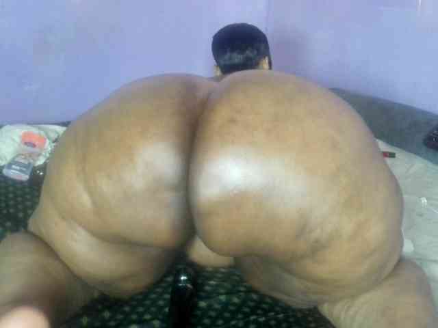 Big-Ass-Wilma webcam