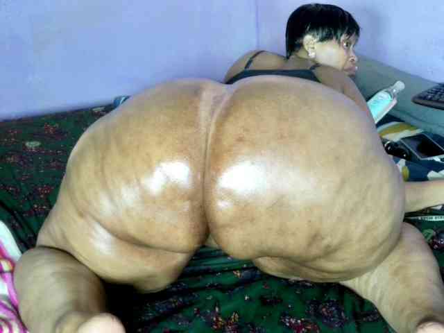 Big-Ass-Wilma webcam