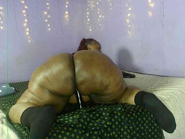 Big-Ass-Wilma webcam