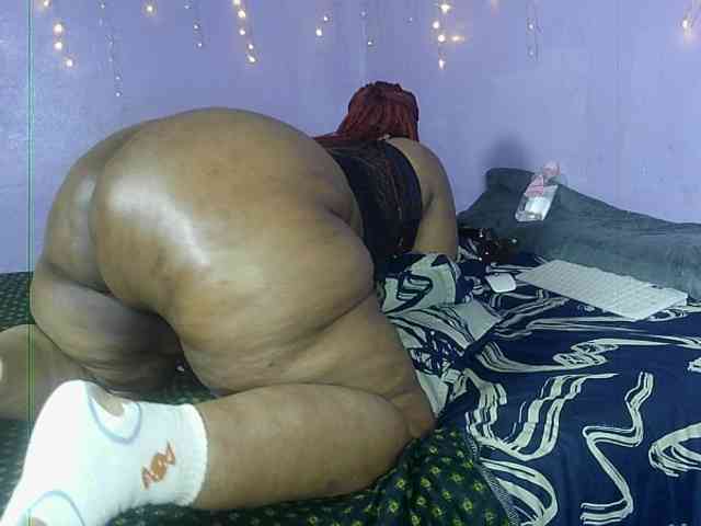 Big-Ass-Wilma webcam