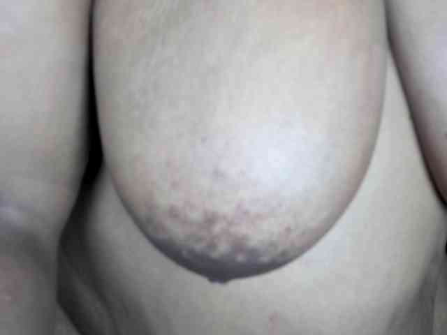 Big-Ass-Wilma webcam