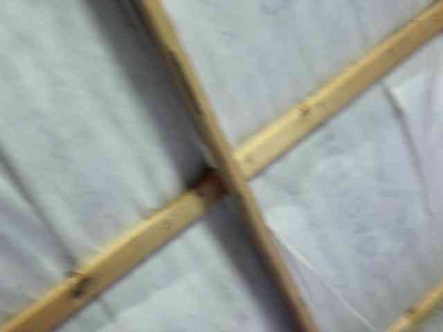 Big-Ass-Wilma webcam