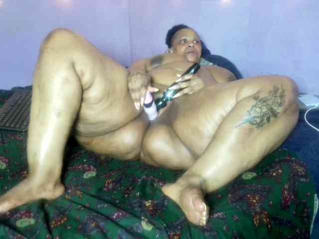 Big-Ass-Wilma webcam