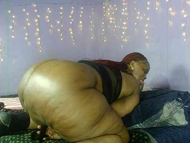 Big-Ass-Wilma webcam