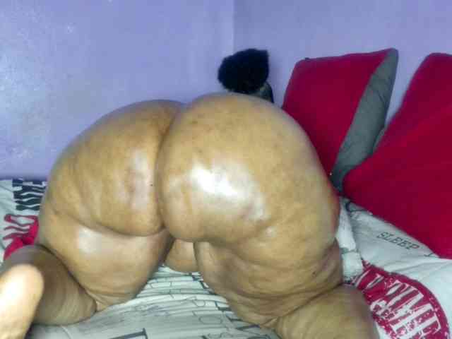 Big-Ass-Wilma webcam