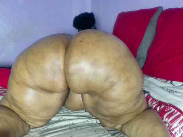 Big-Ass-Wilma webcam